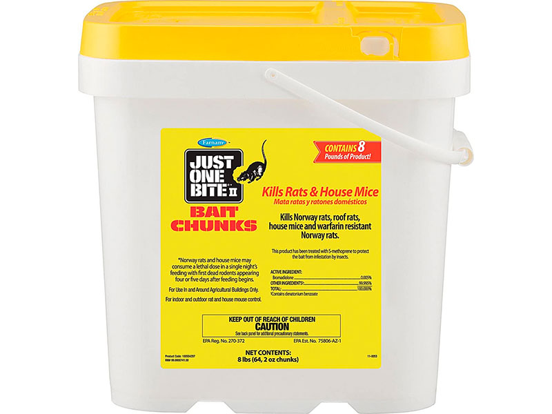 3 Best Bait for Mouse Traps [*2024 UPDATED*] Expert Review