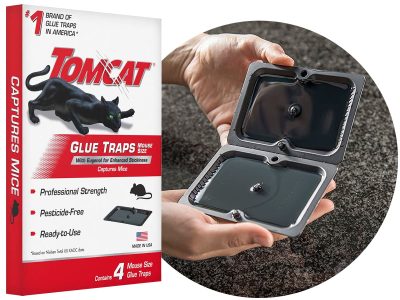 Tomcat glue mouse traps