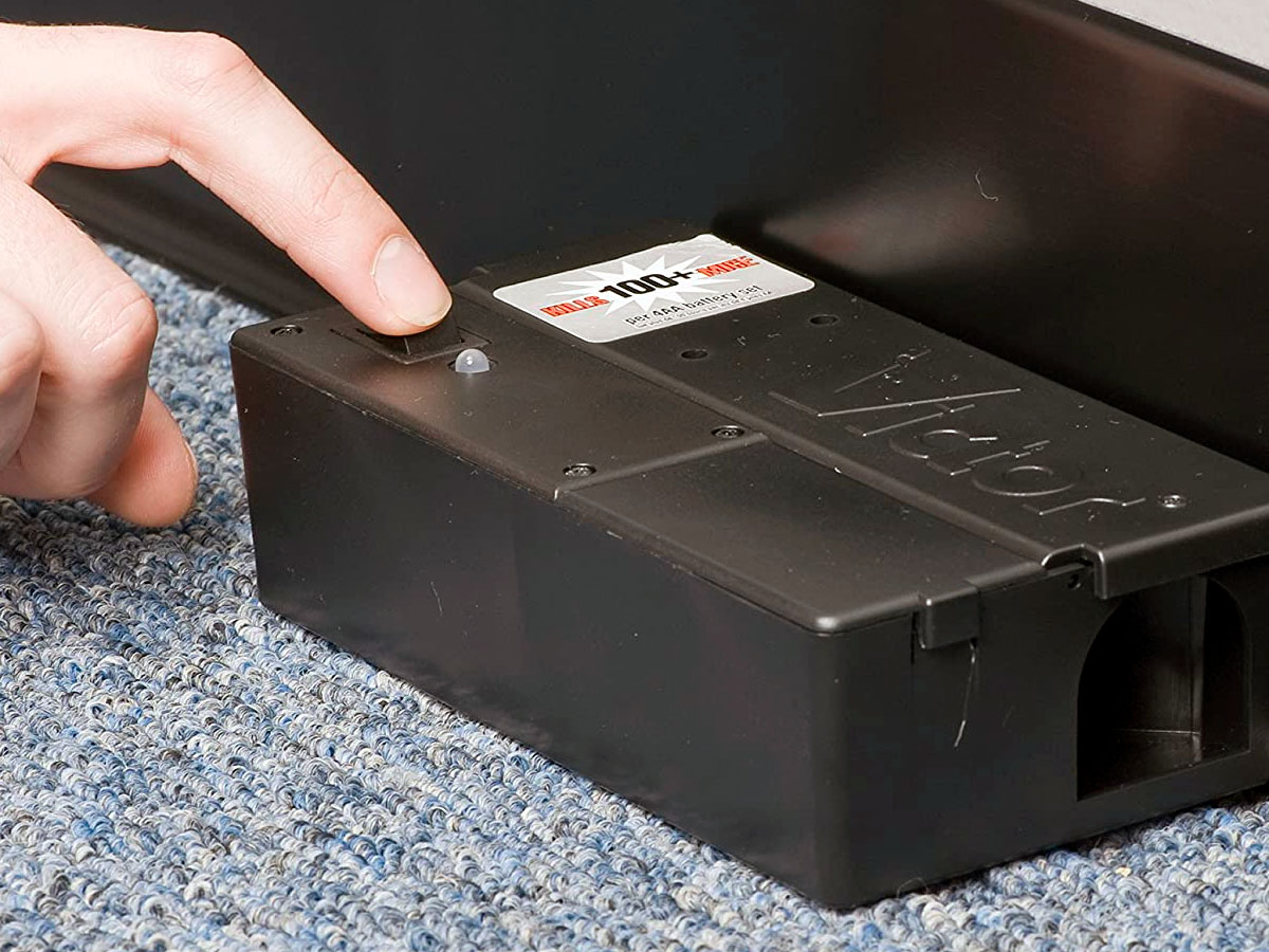 5 Best Electronic Mouse Traps in 2024 That Actually Work