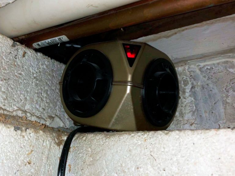 Best Electronic Mouse Repellent Top 5 Options in 2024 That Actually Work