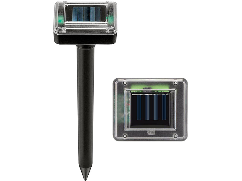 3 Best Vole Repellent Products [*2023 UPDATED*] Expert Review