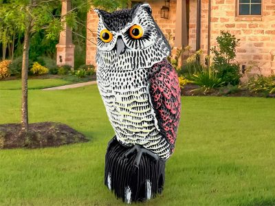 Plastic owl in your yard
