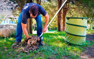 Step 2. Clean your yard