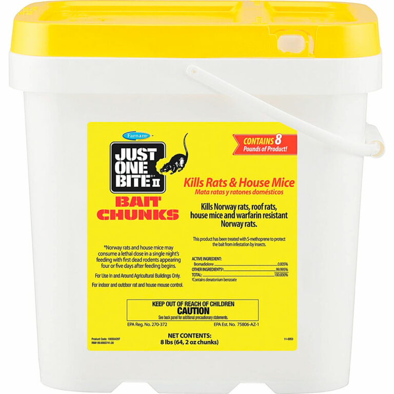 5 Best Squirrel Bait Products (*2022 UPDATED*) Expert Review