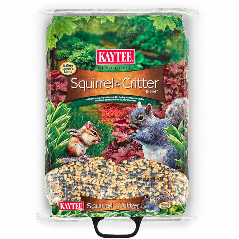 Top 3 Best Squirrel Bait Available (*2024 UPDATED*)