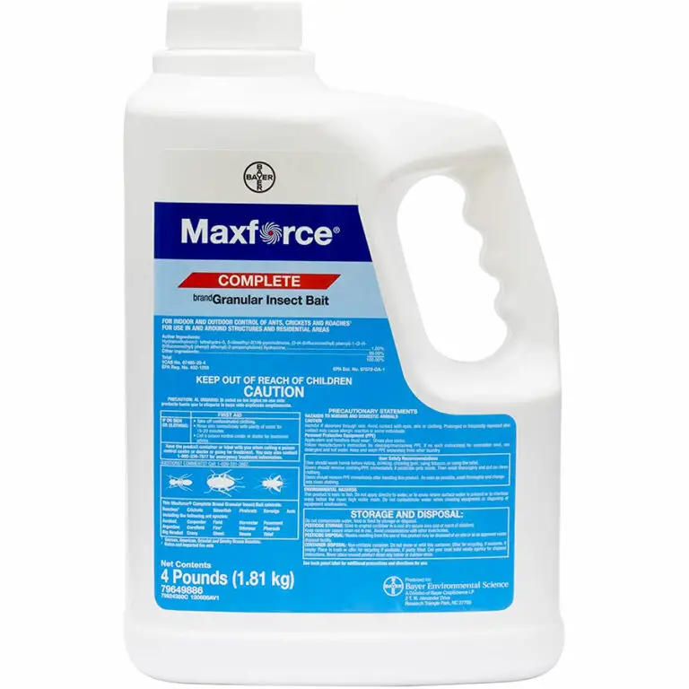 5 Best Outdoor Ant Killer Products 2024 UPDATED Expert Review   Maxforce 768x768 