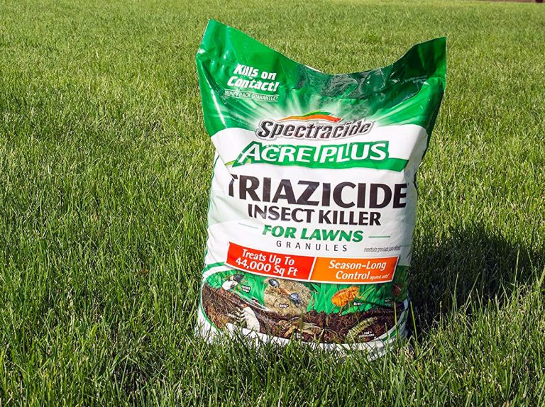 5 Best Outdoor Ant Killer Products (*2025 UPDATED*) Expert Review