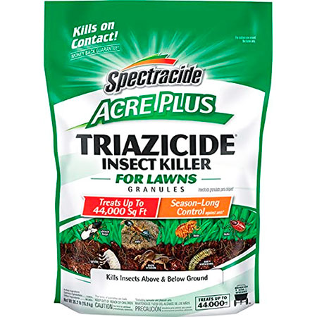 5 Best Outdoor Ant Killer Products (*2024 UPDATED*) Expert Review