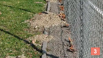 Step 3: Install a metal mesh fence around your garden to keep out rodents like gophers, moles, and voles