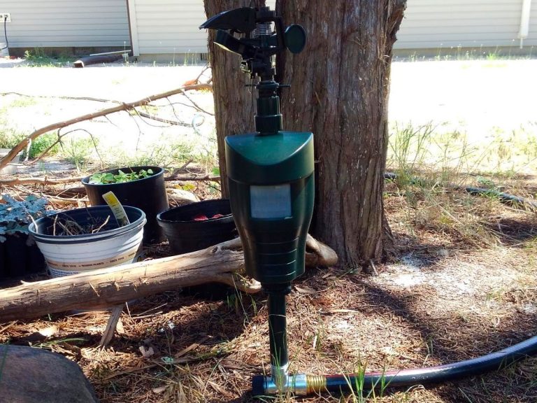 3 Best MotionActivated Sprinkler Options Under 100 [*UPDATED 2024 *]