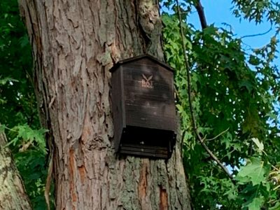 Step 5: Step 5. Bat Houses