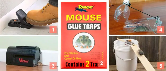 5 mice traps collage