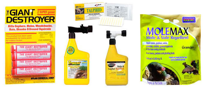 Top 5 Mole Control Products