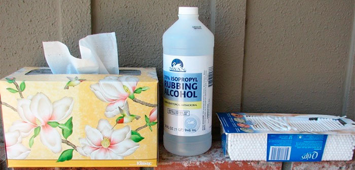 Does Rubbing Alcohol Kill Bedbugs: Yes, but Is It Worth the Risk?