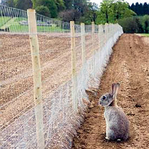 Anti-rabbits fence