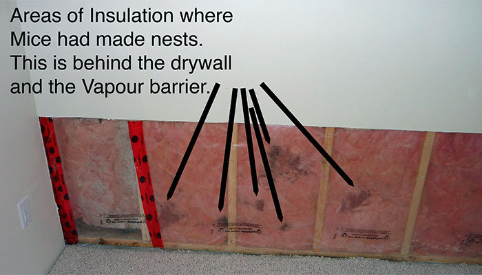 Areas of Insulation