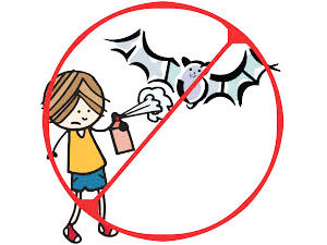 Spray and other bat repellents