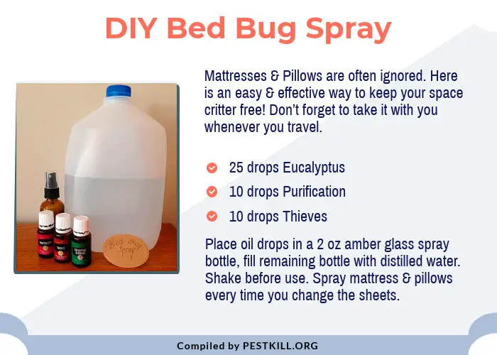 DIY Bed Bug Spray