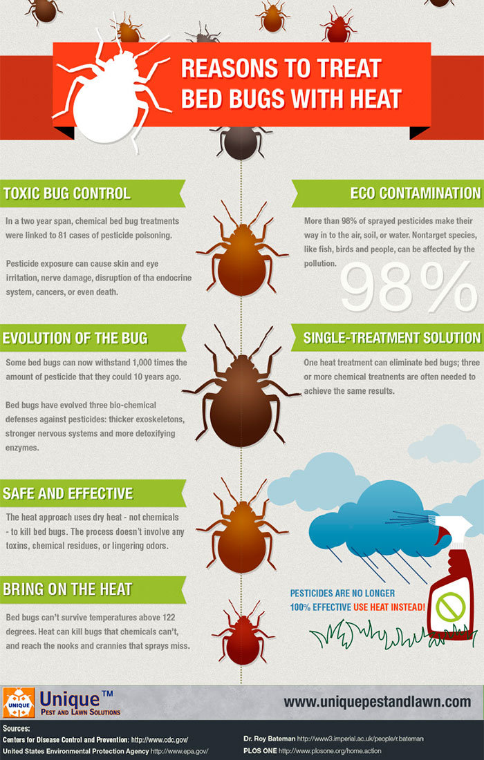 What Temperature Kills Bed Bugs Instantly?