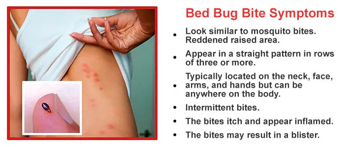 BedBugs and Flea Bites