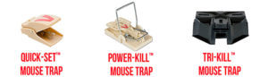 Best Mouse Traps for Cars