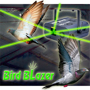 Bird blazer