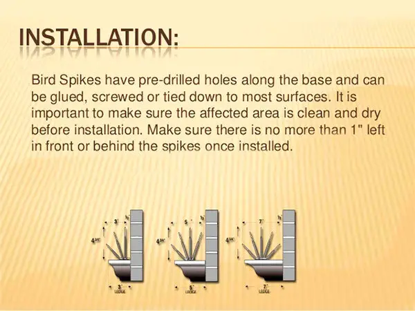 How to install bird spikes