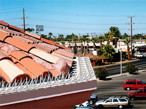 Anti-bird spikes on roof