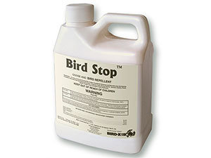 Bird Stop