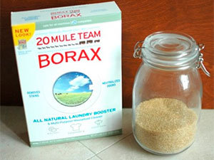 Borax and sugar