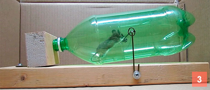 https://pestkill.org/wp-content/uploads/bottle-trap-3.jpg