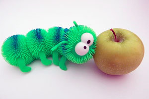 Centipede and apple