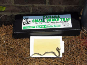 Cahaba small snake trap