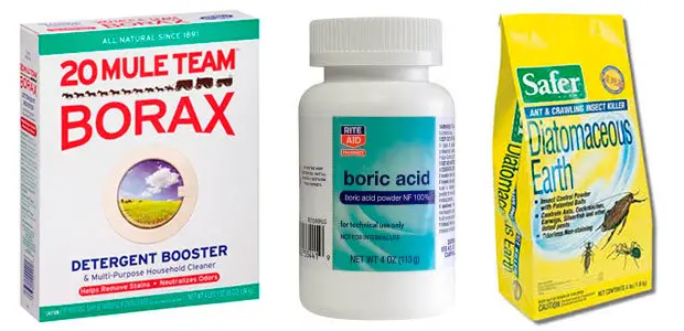 Borax, Boric Acid and Diatomaceous Earth