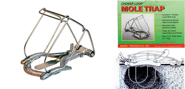 Choker Loop Mole Trap