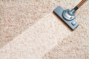 My Battle With Carpet Beetles: A Personal Journey - Carpet Cleaning Force