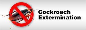 Cockroach extermination
