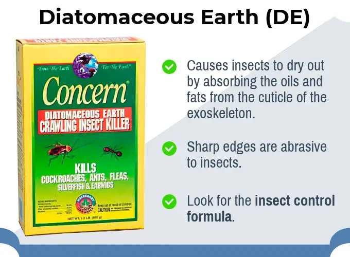 Diatomaceous Earth for Bed Bugs Information