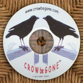 How to Get Rid of Crows by Using Humane, Rigorously-Tested and