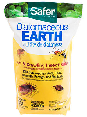 Diatomaceous Earth