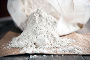 Diatomaceous earth