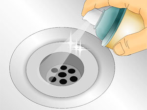 How To Rid Of Drain Flies – Forbes Home