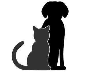 Dog and cat