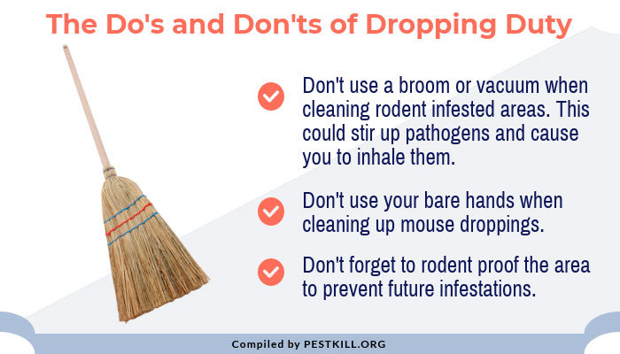 Infographic: The do's and don'ts of dropping duty