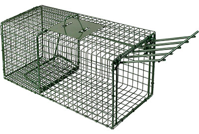 Heavy Duty Chipmunk Cage Trap by DUKE COMPANY