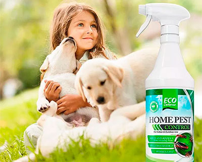 ECO Defense Home Pest Control Spray