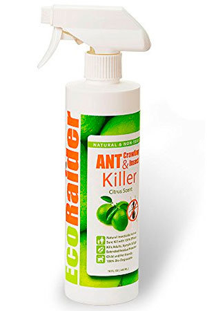 EcoRaider Ant Killer