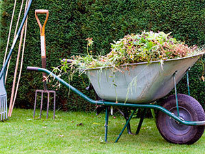 Not friendly garden for rabbits