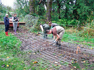 Fencing solution for beavers protect