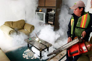 Fumigation bedbugs removal